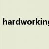 hardworking（關于hardworking的介紹）
