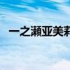 一之瀬亞美莉（關于一之瀬亞美莉的介紹）