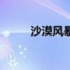 沙漠風暴（關于沙漠風暴的介紹）
