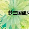 夢三國潘鳳（關于夢三國潘鳳的介紹）