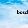 bosch（關于bosch的介紹）