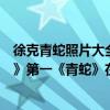 徐克青蛇照片大全（徐克十大經典電影排行榜：《倩女幽魂》第一《青蛇》在榜）