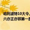 哈利波特10大令人討厭的人物（哈利波特十大反面人物：第六亦正亦邪第一是終極大boss）
