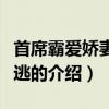 首席霸愛嬌妻別想逃（關于首席霸愛嬌妻別想逃的介紹）