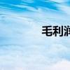 毛利潤（關于毛利潤的介紹）