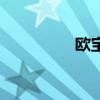 歐寶（關于歐寶的介紹）