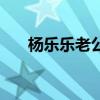 楊樂樂老公（關于楊樂樂老公的介紹）