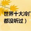 世界十大冷門樂器（這些樂器相當冷門連名字都沒聽過）