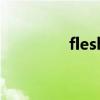 flesh（關于flesh的介紹）