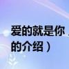 愛的就是你 王力宏（關于愛的就是你 王力宏的介紹）