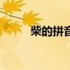 柴的拼音（關于柴的拼音的介紹）