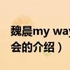 魏晨my way演唱會（關于魏晨my way演唱會的介紹）