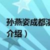 孫燕姿成都演唱會（關于孫燕姿成都演唱會的介紹）