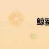 鯨鯊（關于鯨鯊的介紹）
