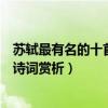 蘇軾最有名的十首詩詞（蘇軾著名的古詩詞作品蘇軾經典古詩詞賞析）