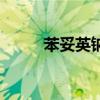 苯妥英鈉（關于苯妥英鈉的介紹）
