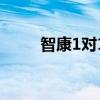 智康1對1（關于智康1對1的介紹）