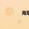 海草（關于海草的介紹）