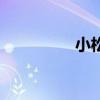 小松（關于小松的介紹）
