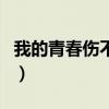 我的青春傷不起（關于我的青春傷不起的介紹）