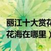 麗江十大賞花勝地（麗江最美賞花的地方麗江花海在哪里）