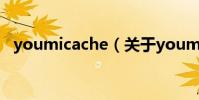 youmicache(關于youmicache的介紹)