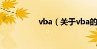 vba(關于vba的介紹)