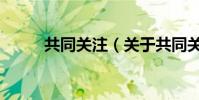 共同關注(關于共同關注的介紹)