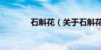 石斛花(關于石斛花的介紹)