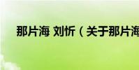 那片海 劉忻(關于那片海 劉忻的介紹)