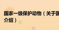 國家一級保護動物(關于國家一級保護動物的介紹)