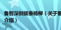 魯智深倒拔垂楊柳(關于魯智深倒拔垂楊柳的介紹)