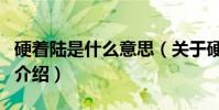 硬著陸是什么意思(關于硬著陸是什么意思的介紹)