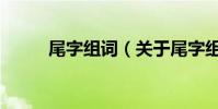 尾字組詞(關于尾字組詞的介紹)