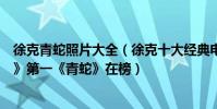 徐克青蛇照片大全(徐克十大經典電影排行榜:《倩女幽魂》第一《青蛇》在榜)