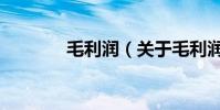 毛利潤(關于毛利潤的介紹)