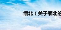緬北(關于緬北的介紹)
