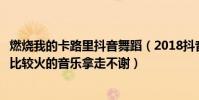 燃燒我的卡路里抖音舞蹈(2018抖音最熱歌曲排名抖音里面比較火的音樂拿走不謝)