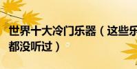 世界十大冷門樂器(這些樂器相當冷門連名字都沒聽過)
