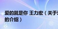 愛的就是你 王力宏(關于愛的就是你 王力宏的介紹)