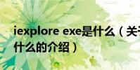 iexplore exe是什么(關于iexplore exe是什么的介紹)