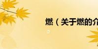 燃(關于燃的介紹)