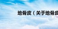 地骨皮(關于地骨皮的介紹)