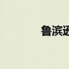 魯濱遜（關于魯濱遜的介紹）