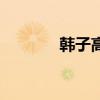 韓子高（關于韓子高的介紹）