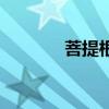 菩提根（關于菩提根的介紹）