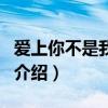 愛上你不是我的罪（關于愛上你不是我的罪的介紹）