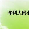 華科大附小（關于華科大附小的介紹）