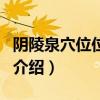 陰陵泉穴位位置圖（關于陰陵泉穴位位置圖的介紹）