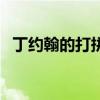 丁約翰的打拼（關于丁約翰的打拼的介紹）